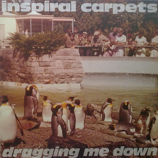 Inspiral Carpets - Dragging Me Down - Used Vinyl Record 12" image 5
