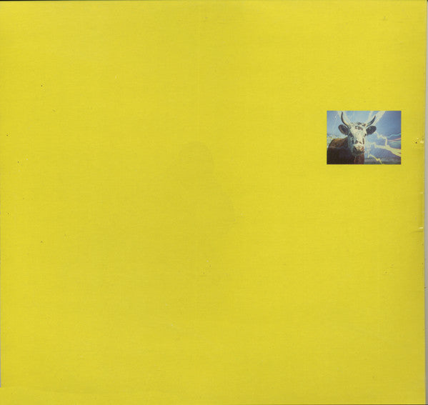 Inspiral Carpets - Commercial Rain / She Comes In The Fall (Remixes) image 2