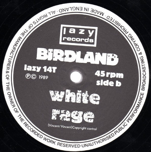Birdland - Paradise - Used Vinyl Record 12" image 4