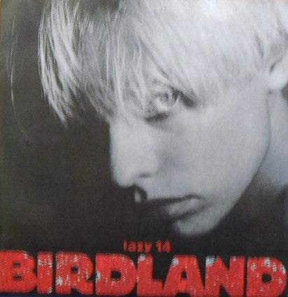 Birdland - Paradise - Used Vinyl Record 7" image 1