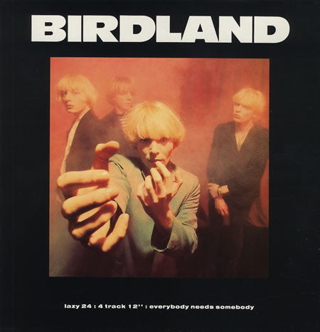 Birdland - Everybody Needs Somebody - Used Vinyl Record 12" image 1