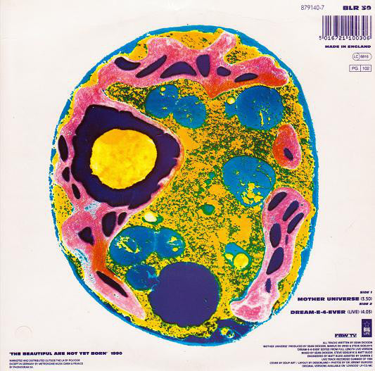 Soup Dragons - Mother Universe - Used Vinyl Record 7" image 6