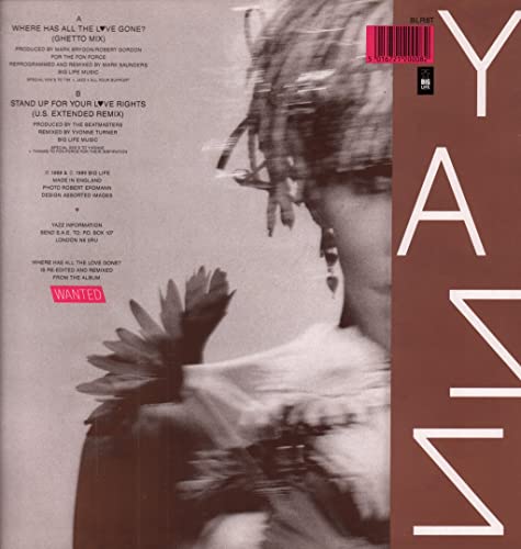 Yazz - Where Has All The Love Gone? - Used Vinyl Record 12" image 2