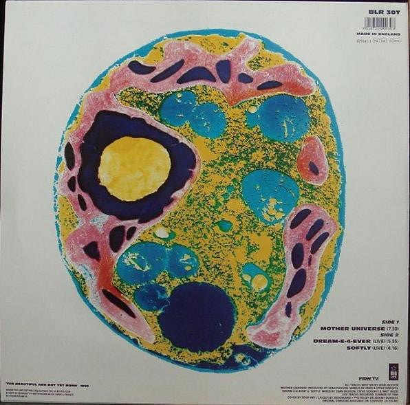 Soup Dragons - Mother Universe - Used Vinyl Record 12" image 2