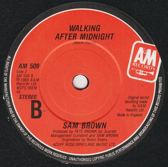 Sam Brown - Can I Get A Witness? - Used Vinyl Record 7" image 9