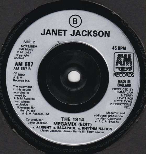 Janet Jackson - Black Cat - Used Vinyl Record 7" image 8