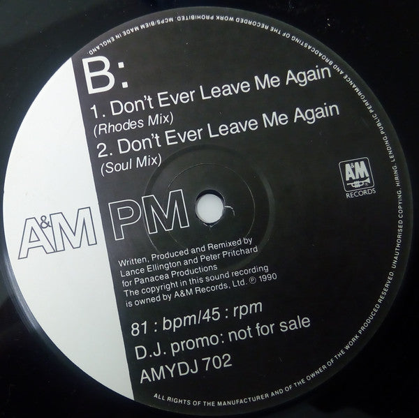 Lance Ellington - Don't Ever Leave Me Again - Used Vinyl Reco image 4