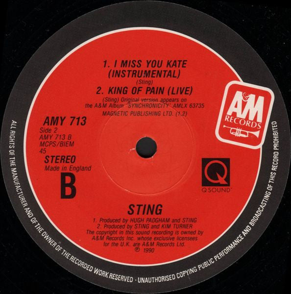 Sting - All This Time - Used Vinyl Record 12" image 4