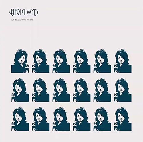 LLWYD ELERI - AM HEDDIW MAE NGHAN - Vinyl Record image 1