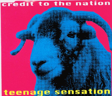 Credit To The Nation - Teenage Sensation - Used CD image 1