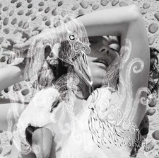 Bjork - Vespertine - Vinyl Record image 1
