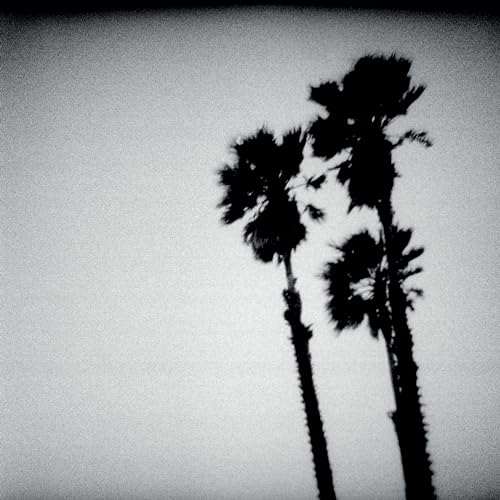 TWILIGHT SINGERS - BLACKBERRY BELLE - CD ALBUM image 1