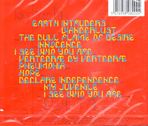 Björk - Volta - COMPACT DISC image 2