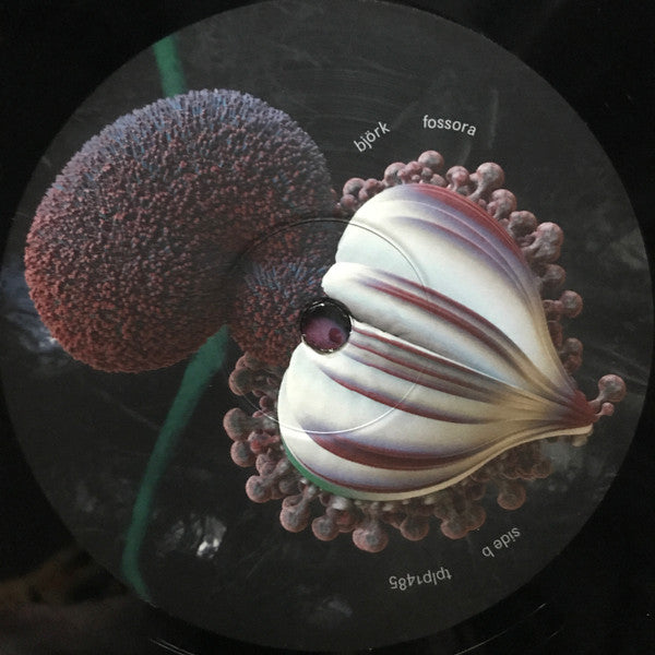 BJORK - FOSSORA - Vinyl Record 12" RECORD image 5