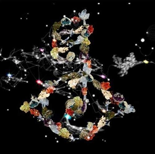 Bjork - Biophilia - Vinyl Record 12" image 1
