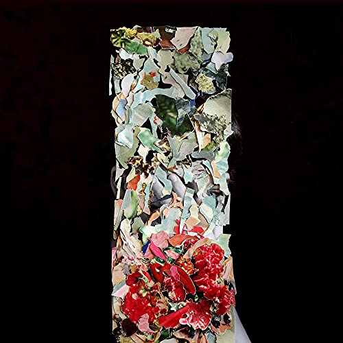 FOXTROTT - TALLER US - Vinyl Record image 1