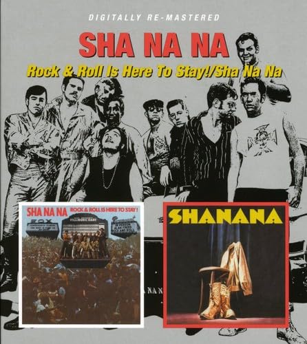 SHA NA NA - ROCK & ROLL IS HERE/ - CD image 1