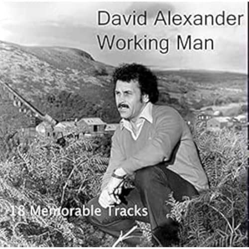 DAVID ALEXANDER - WORKING MAN - CD image 1