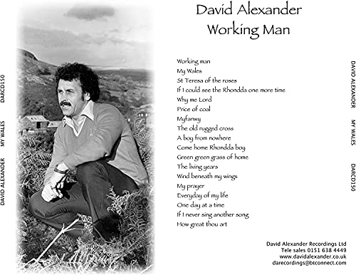 DAVID ALEXANDER - WORKING MAN - CD image 2
