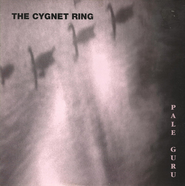 Cygnet Ring - Pale Guru - Used Vinyl Record 12" image 1
