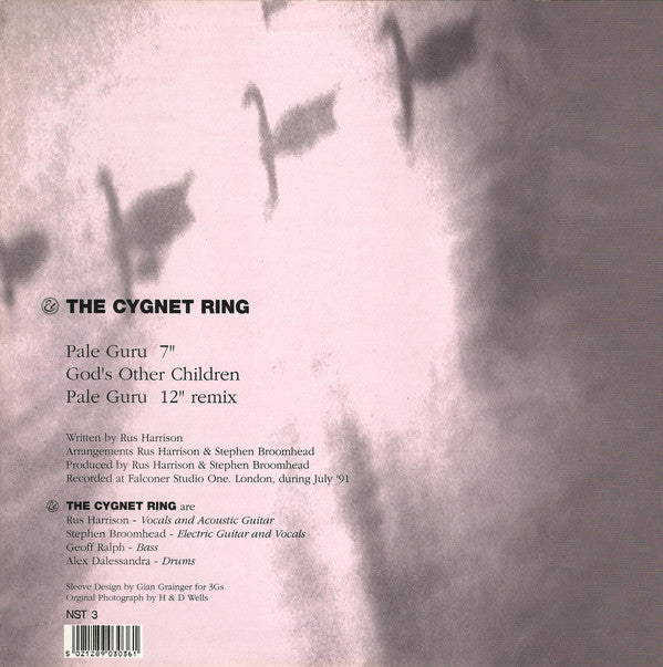 Cygnet Ring - Pale Guru - Used Vinyl Record 12" image 2