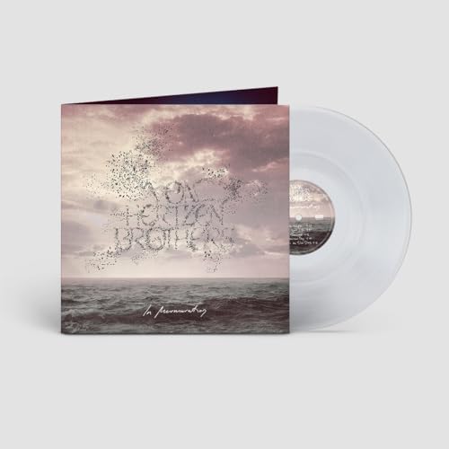 Von Hertzen Brothers - In Murmuration - Vinyl Record VINYL image 1