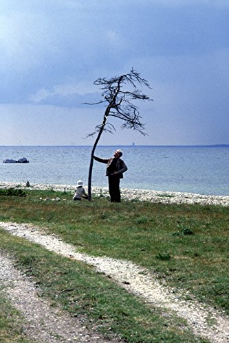 Sacrifice - DVD image 3
