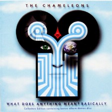 CHAMELEONS - WHAT DOES ANYTHING MEAN? BASICALLY - COMPACT DISC image 1