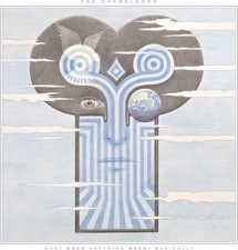 CHAMELEONS - WHAT DOES ANYTHING MEAN - BASI - Vinyl Record image 1