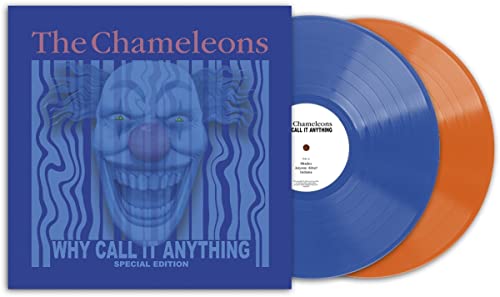 CHAMELEONS - WHY CALL IT ANYTHING - Vinyl Record VINYL image 1