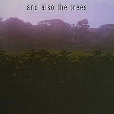 AND ALSO THE TREES - CD