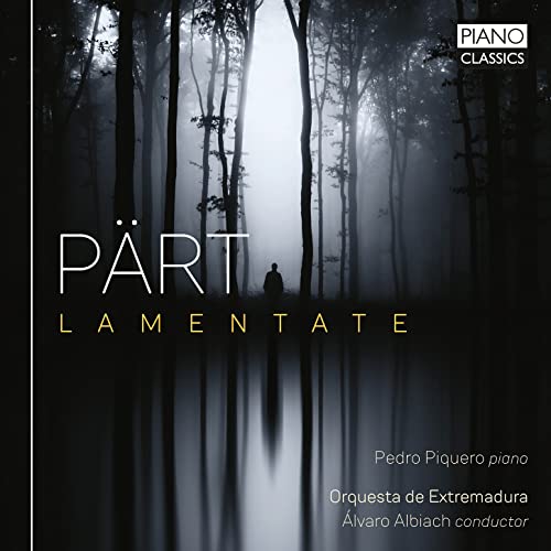 PEDRO PIQUERO/ORQUES - PART LAMENTATE - CD image 1