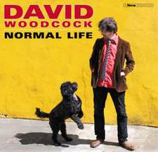 DAVID WOODCOCK - NORMAL LIFE - Vinyl Record VL image 1