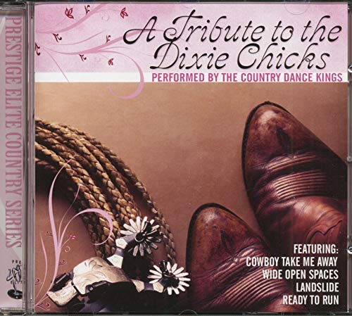 COUNTRY DANCE KINGS - TRIBUTE TO THE DIXIE CHICKS - CD image 1