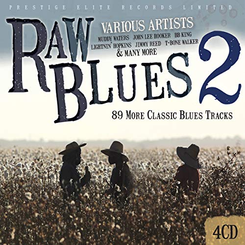 VARIOUS ARTISTS - RAW BLUES VOL 2 - CDB image 1