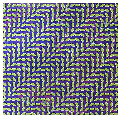 Animal Collective - Merriweather Post Pavilion - Vinyl Record image 1