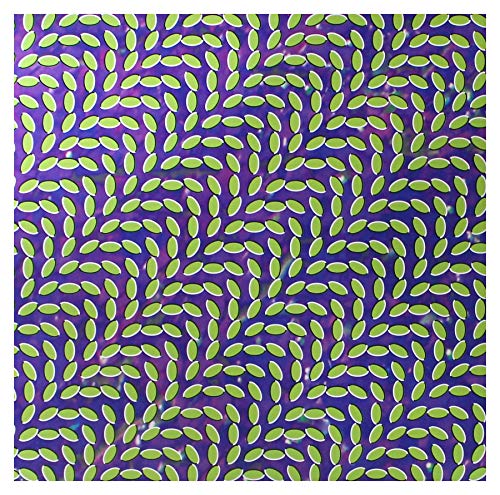 Animal Collective - Merriweather Post Pavilion - Vinyl Record image 2