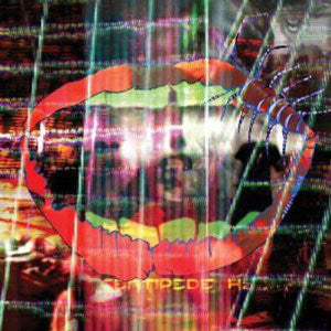 Animal Collective - Centipede Hz - CD image 2