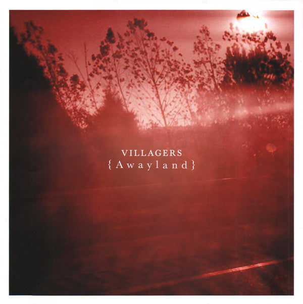 Villagers - {Awayland} - Vinyl Record image 5