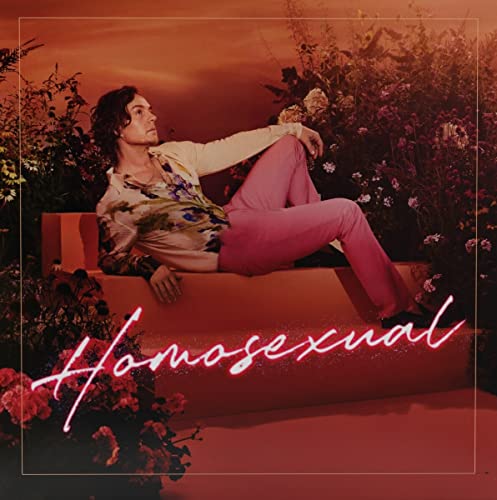 Darren Hayes - Homosexual - CD image 1