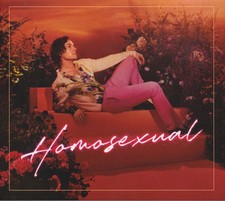 Hayes - - Homosexual 2LP Coloured - Vinyl Record 2lp image 1