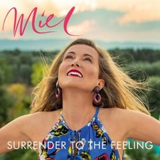 Miel de Botton - Surrender to the Feeling - Vinyl Record 12 Album" image 1