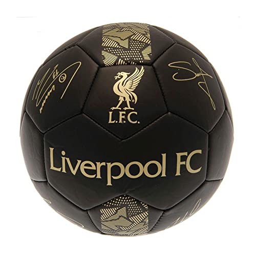 Liverpool FC - Skill Ball Signature Gold PH - Mini Balls image 2