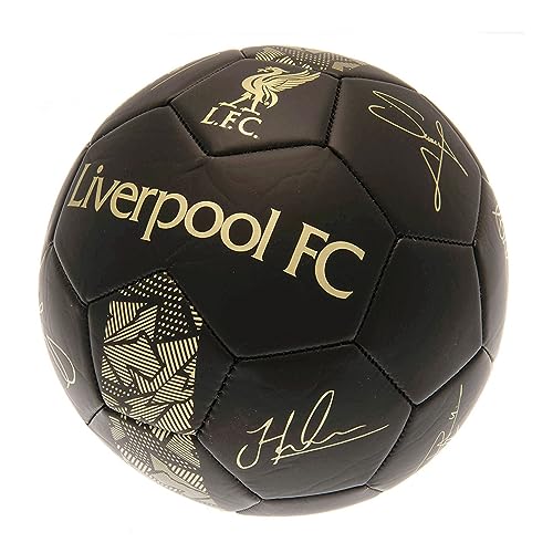 Liverpool FC - Skill Ball Signature Gold PH - Mini Balls image 4