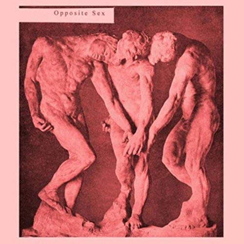 Opposite Sex - CD image 1
