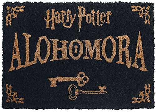 HARRY POTTER - ALOHOMORA (DOORMAT) - DMAT image 2