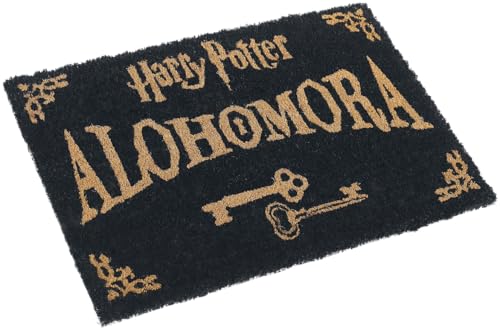 HARRY POTTER - ALOHOMORA (DOORMAT) - DMAT image 5