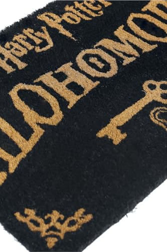 HARRY POTTER - ALOHOMORA (DOORMAT) - DMAT image 6