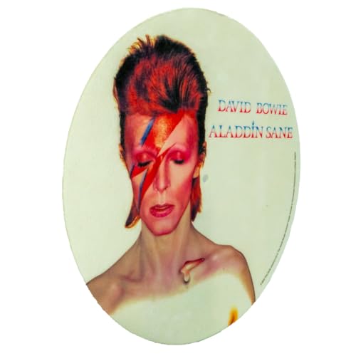 DAVID BOWIE - Aladdin Sane Slipmat - Slipmat image 3