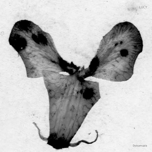Lucy - Dyscamupia - Vinyl Record 12 image 1